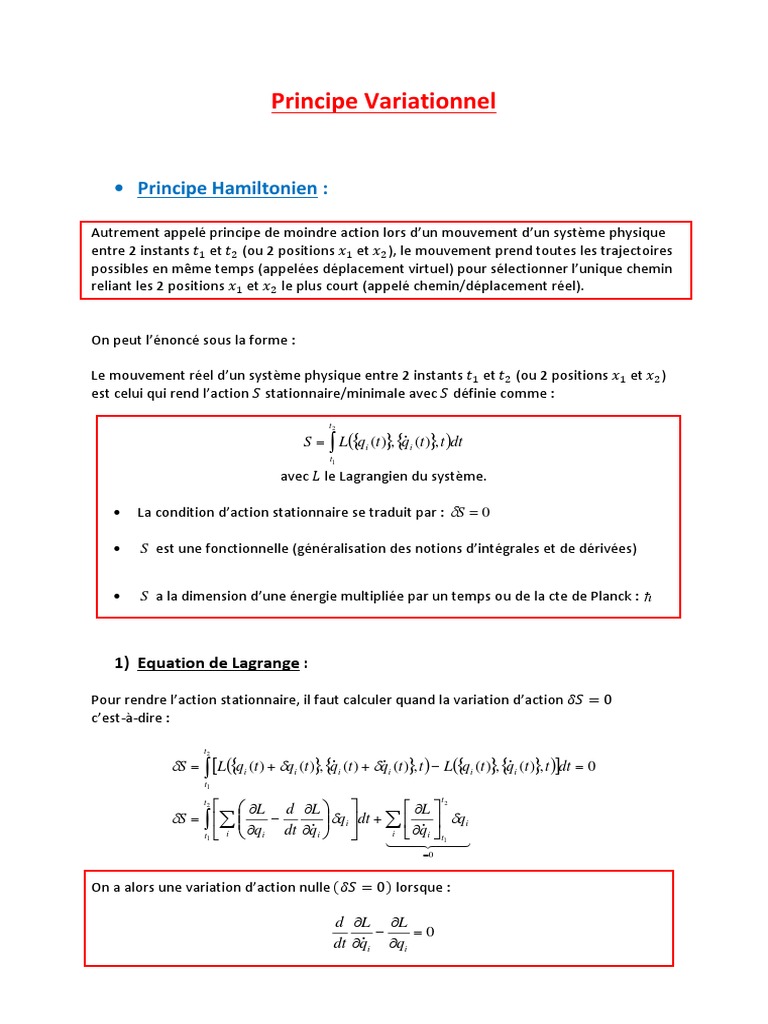 Principe Variationnel et Contraintes | PDF | Analyse mathématique ...
