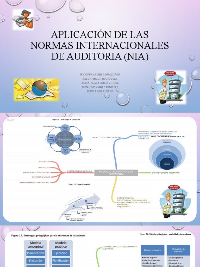 mapas-mentales-aplicacion-de-las-nia-pdf