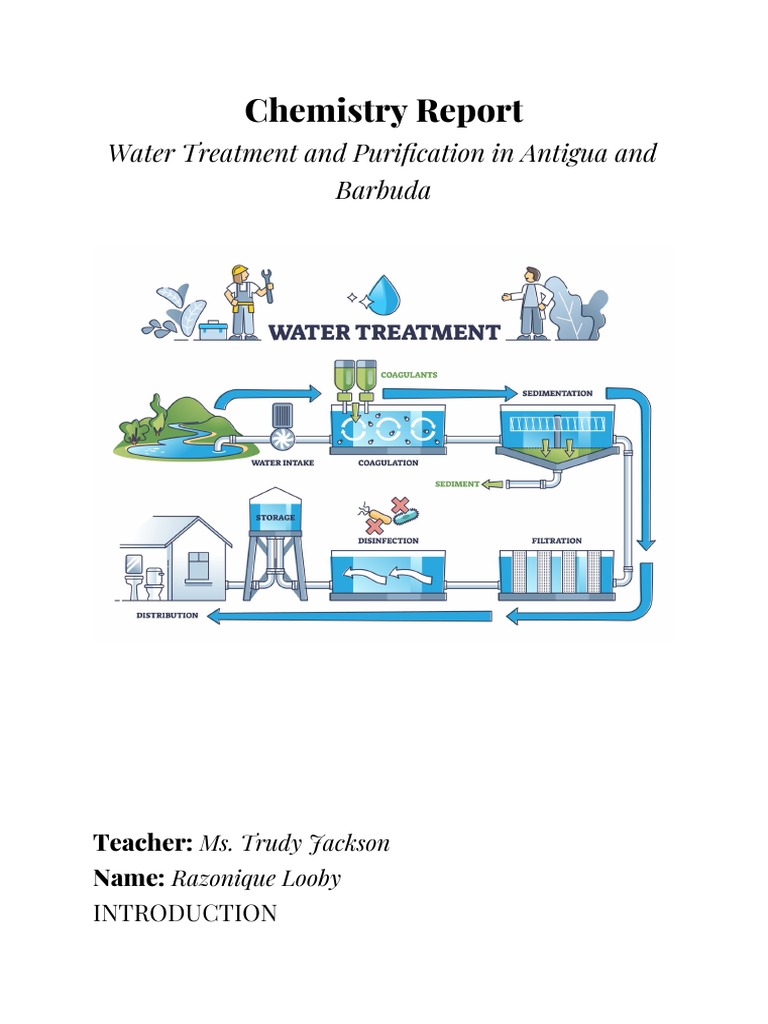 Chemistry Report Water Purification PDF Water Purification Membrane