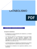 Catabolismo PDF