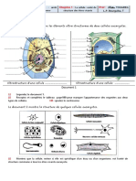 4 Unite de Plan Dorgansiation P