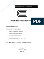 Informe de La Practica N°2 de Laboratorio