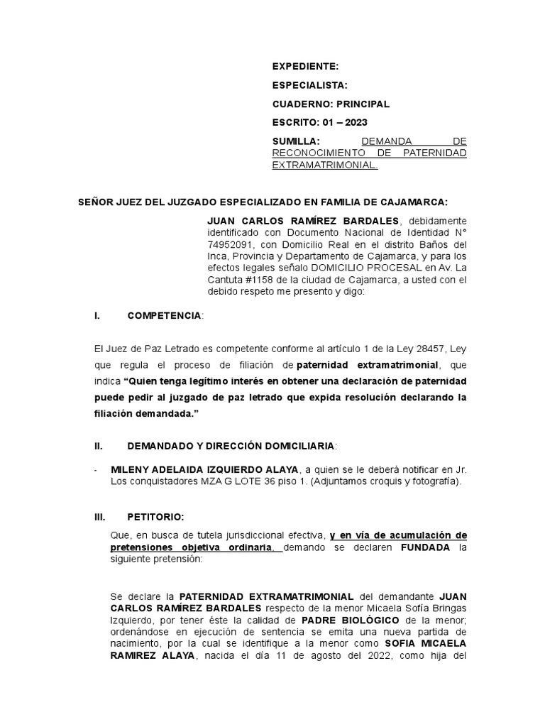reconocimiento-de-paternidad-descargar-gratis-pdf-demanda-judicial