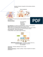 Tema 6 2021sistema Respiratorio Farmaco253