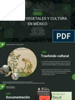 Especies Vegetales y Cultura en México