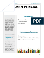 Dictamen Pericial PDF