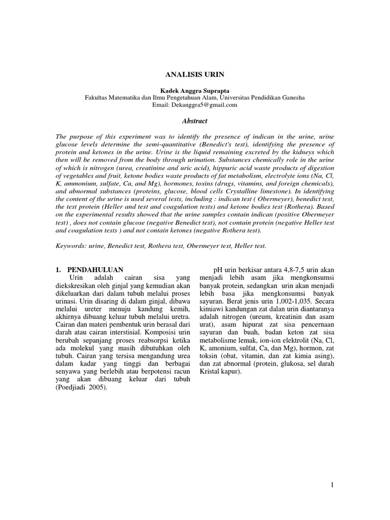 Analisis Urin | PDF