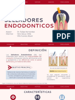 Selladores Endodonticos