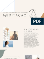 SNA Meditação