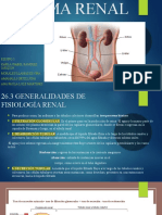 Sistema Renal