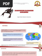 6 Ergonomia NTP-ISO-TR 12295-2021 | PDF | Organización internacional ...