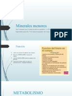 Minerales Menores