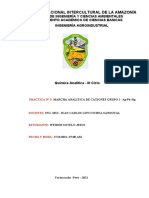Informe Gupo 1 de Cationes - Quimica Analitica