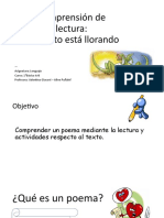 Comprensión de lectura