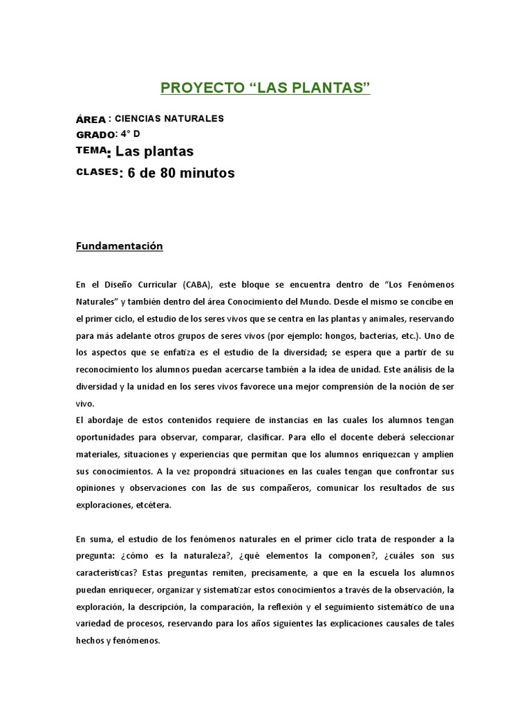 Proyecto Didáctico: Las Plantas en 4° D | PDF | Plantas | Semilla