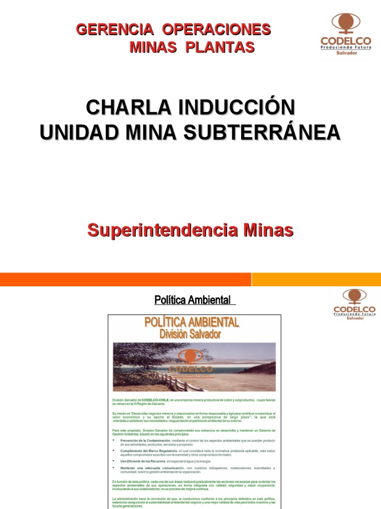 Inducción Unidad Mina Subterránea | PDF | Seguridad y salud ocupacional ...