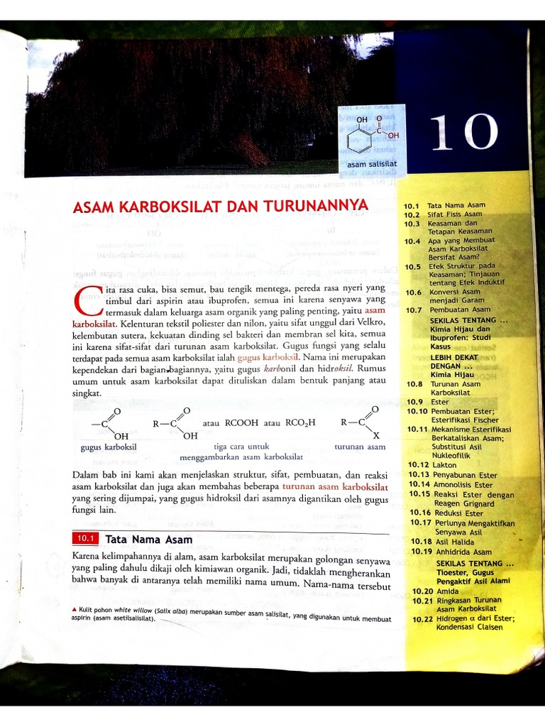 Bab 10 | PDF