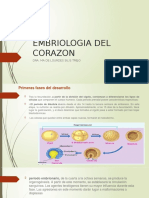 Embriologia Del Corazon