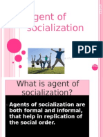 Agent of Socialization Course Work