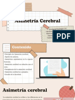 Exposición Asimetría Cerebral