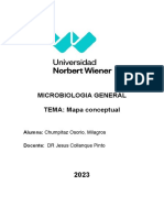 Mapa Conceptual Semana 4