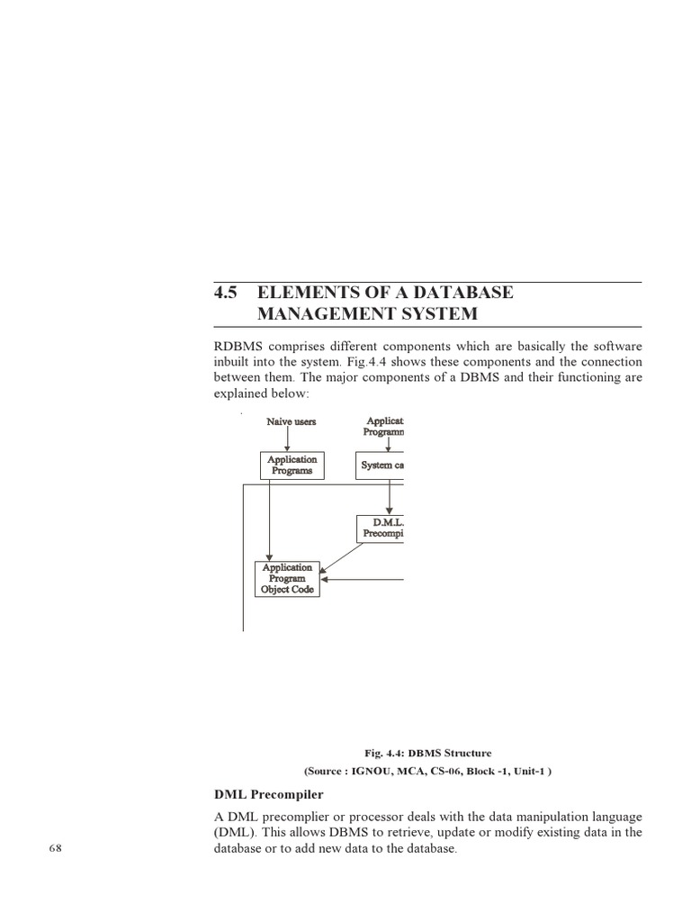 Elements of DBMS | PDF | Databases | Computer File