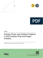 Energy Flow and Carbon Footprint - Pulp&paper Mill