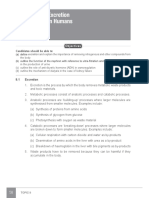 Excretion and Homeostatsis Notes