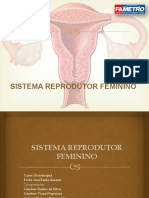 Sistema Reprodutor Feminino 2