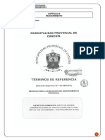 Terminos de Referencia