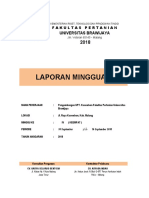 Laporan Mingguan: Universitas Brawijaya