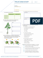 La Nutrición en Las Plantas