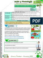 Tipos de Reprodución en Las Plantas