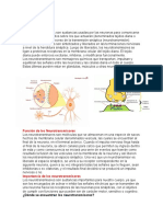 Neurotransmisores