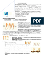 Generalidades Planos y Ejes