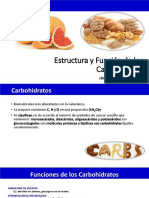 BiomolÃ©culas. Carbohidratos