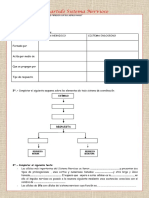 Repartido Sistema Nervioso