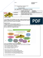 Sesion Del Plan Lector Kiwi