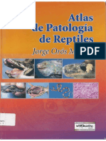 Atlas de patologia de reptiles 