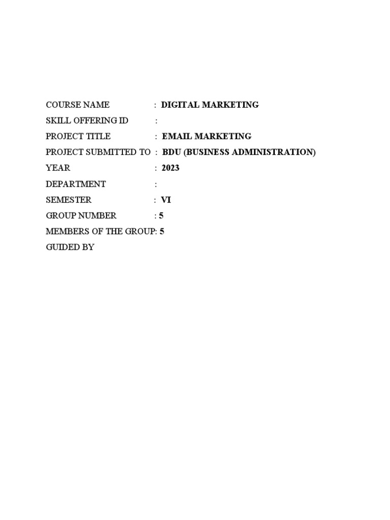 digital-marketing-project-pdf-marketing-target-audience