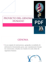 Proyecto Del Genoma Humano