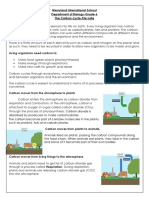 Carbon Cycle-File Grade 6