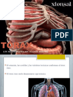 TÓRAX