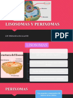 Lisosomas y Perixomas