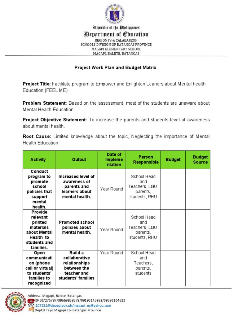 Project Work Plan and Budget Matrix | PDF | Mental Disorder | Health ...