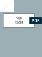 Proiect Economie