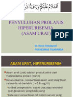 asam urat dr.nova