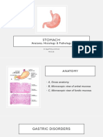 GIT 1 - Stomach