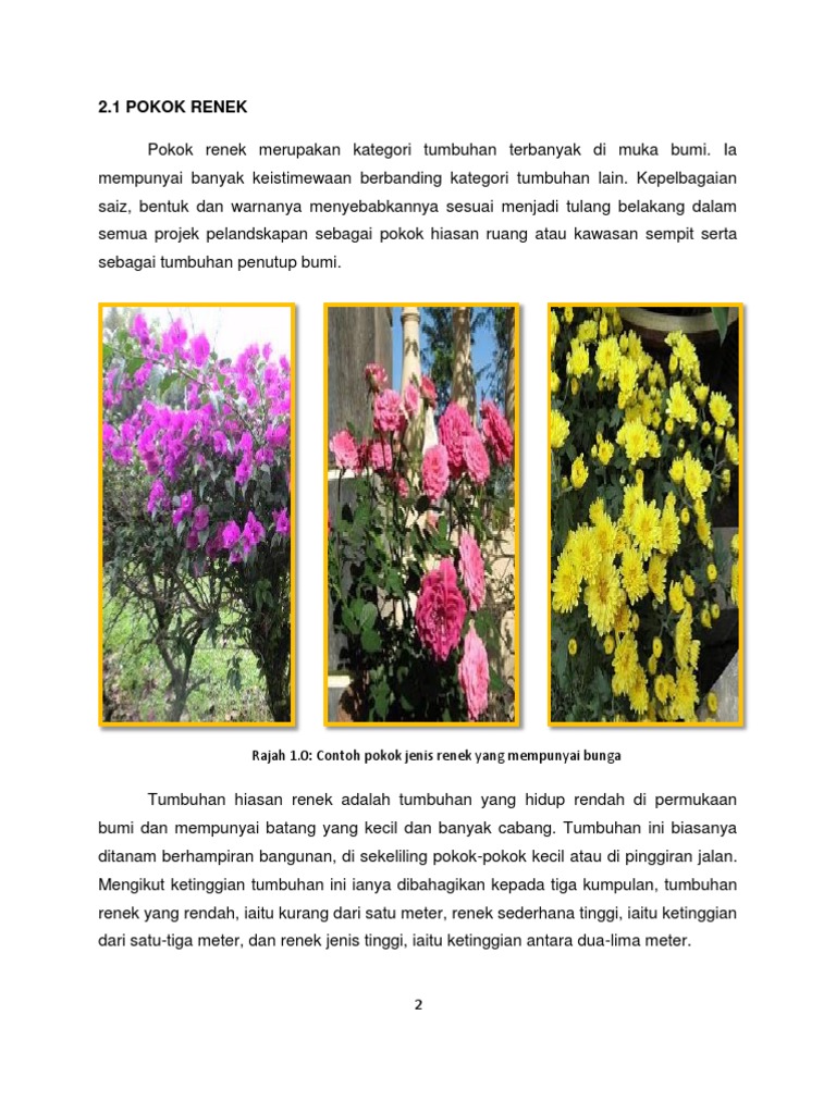 Renek Bunga Mawar Pdf