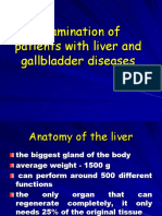 Liver Examination - Engl